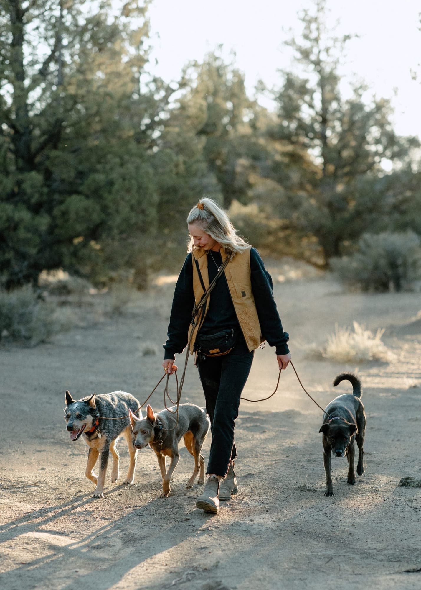 Person walking three dogs on hands-free paracord slip leashes worn across the body