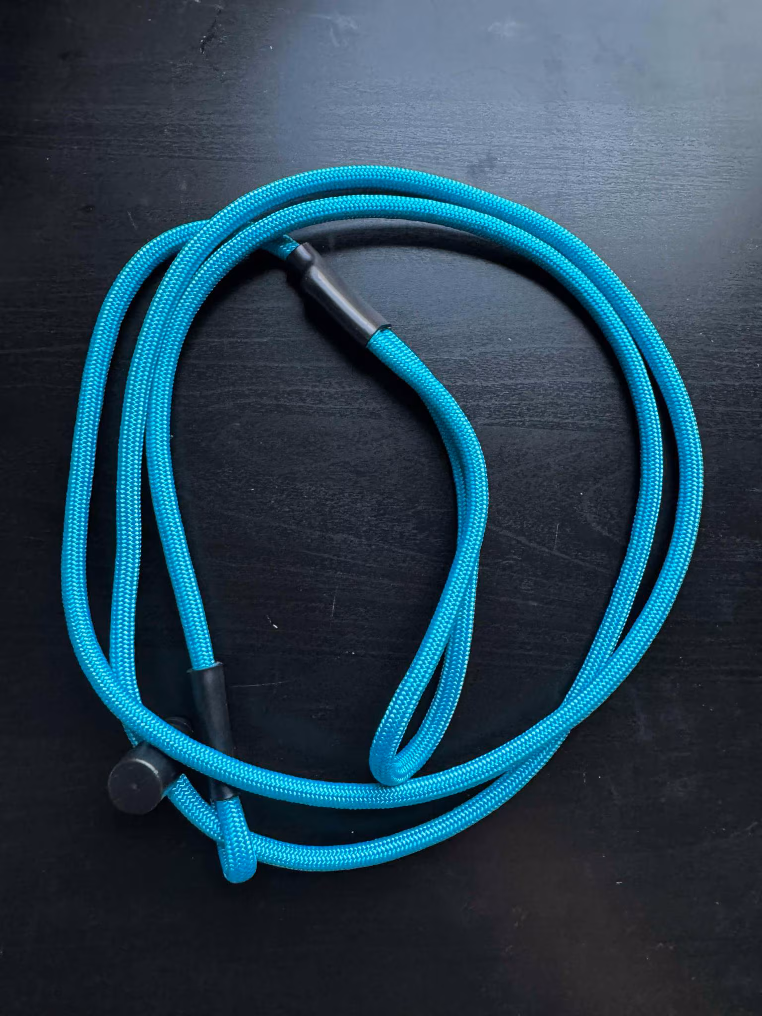 Handmade Paracord Slip Leash